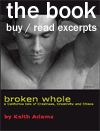 Book to be published 2010, Broken Whole: a California tale of Craziness, Creativity and Chaos