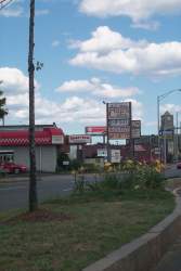 Scenic drive up the coast
