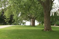 The lawns at Tanglewood