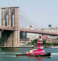 Looking out onto the East River