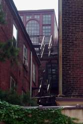 At the top of this pic is the window of our living room - in Philly I could afford to live in style!