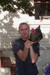 What is it with you and your chickens, Brett?