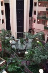 The verdant lounge of my hotel