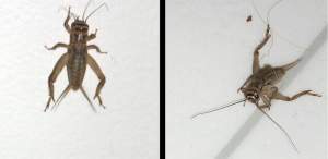 Before ... and after :)