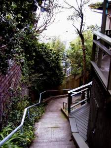 Peter lives in such a beautiful neighborhood, with winding streets,
distant views, and hidden stairways.