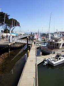 The yacht marina