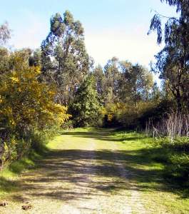 A beautiful path through the hills