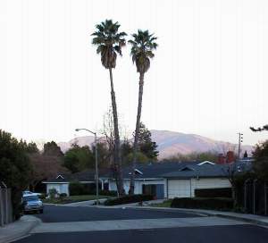 Suburbia California style
