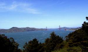 View of the Bay from the Museum grounds
