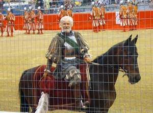 A stately man in costume on a horse