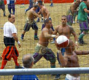 Hmmm, please wrestle with me :)