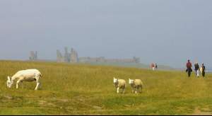 First site of Dunstanburgh Castle