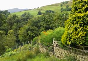 Just ten minutes hike out of town gives you views like this.