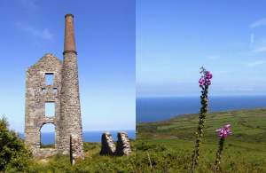 Sites from the drive to Lands End