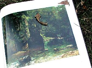 My favorite painting in the exhibition: The Shaded Stream at Le Puits Noir, by Gustave Courbet