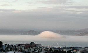 And then this evening, the weird behavior of the fog. It often forms a coridoor across the Bay,
as it gets channeled through the Golden Gate Bridge. But today it hit Alcatraz head on, and kind
of leaped over it, leaving a hump of fog covering the island.