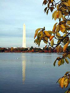 The Washington Monument from the Tidal Pool.  This one came out nicely -- one of the best photographs I've taken in D.C.