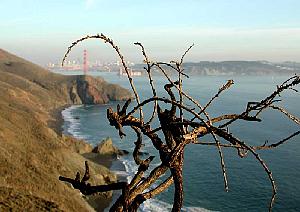 The Friday after Thanksgiving: beautiful day on the Marin Headlands