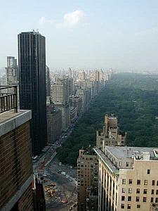 View of Central Park from the roof of my apartment building.