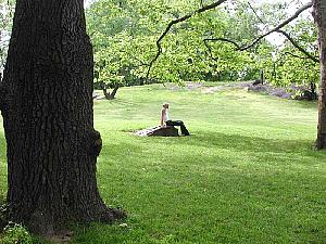 The northern part of the park is more beautiful than the southern. Lots of open spaces, lawns, outcroppings of rock;
and fewer people to spoil the views.