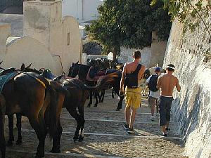 Ben and I descending the long steps down to the harbor on Santorini, running the donkey gauntlet